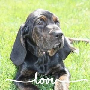 Meet your Posher, Christine